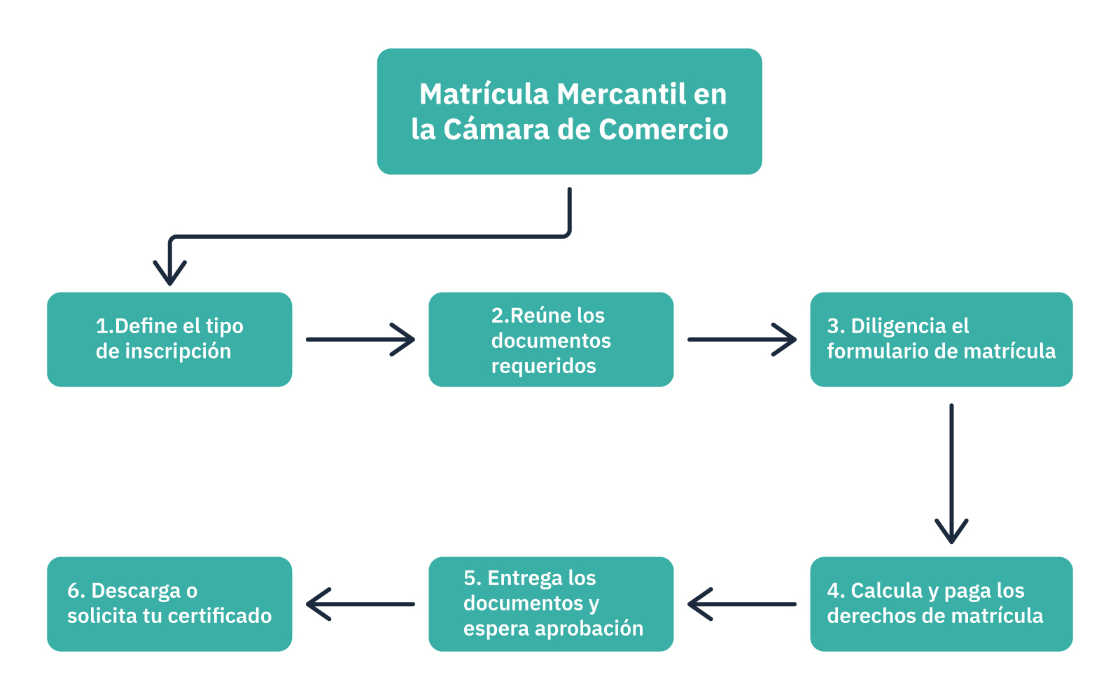 Matricula - Andrés Jiménez